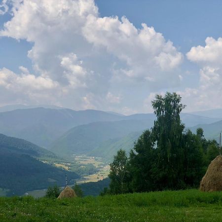Pensiunea Poiana Viselor Poiana Mărului エクステリア 写真