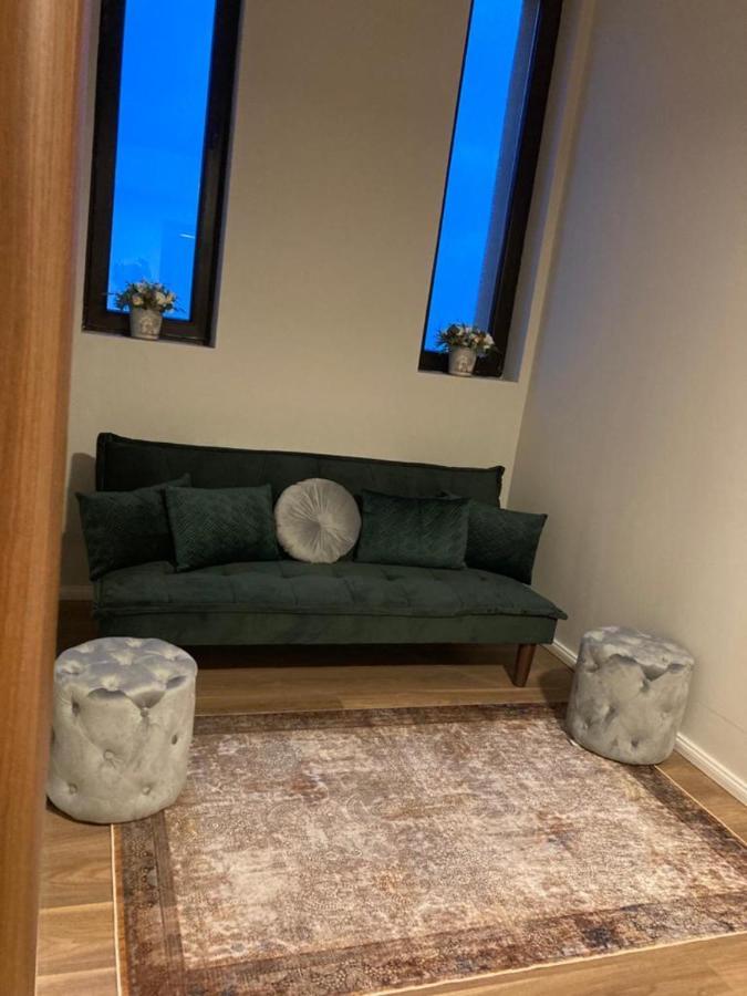 Pensiunea Poiana Viselor Poiana Mărului エクステリア 写真