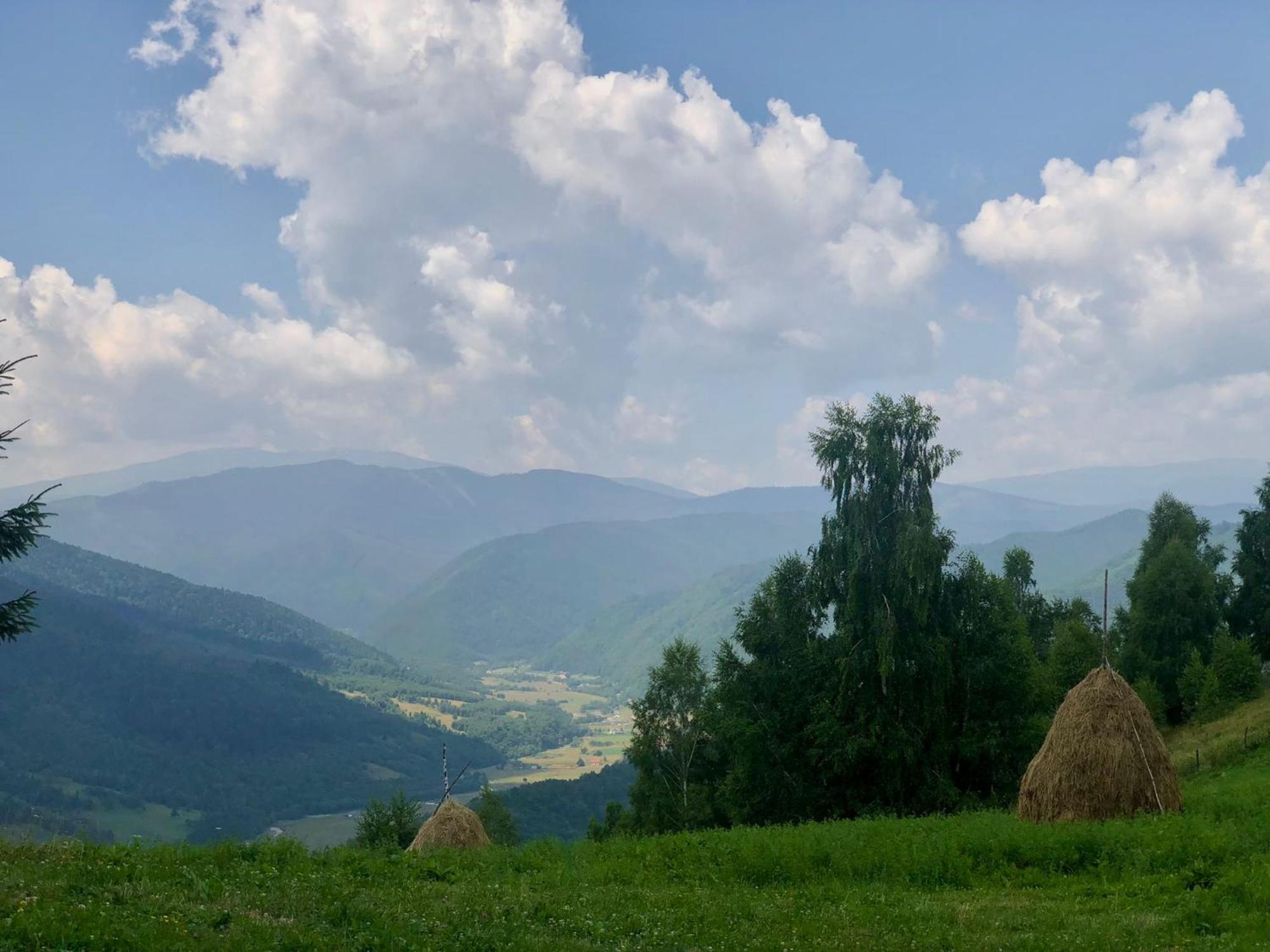 Pensiunea Poiana Viselor Poiana Mărului エクステリア 写真