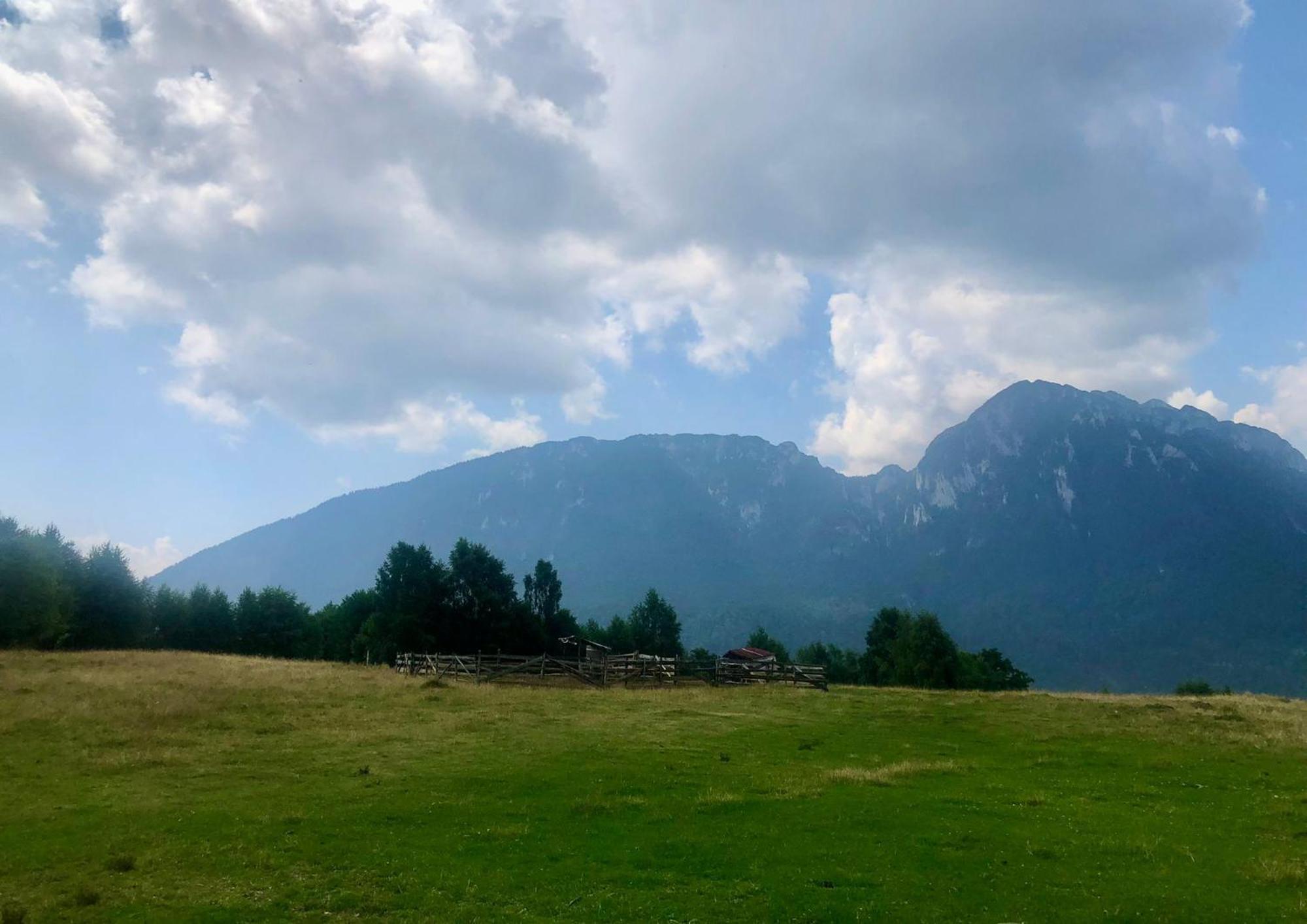 Pensiunea Poiana Viselor Poiana Mărului エクステリア 写真