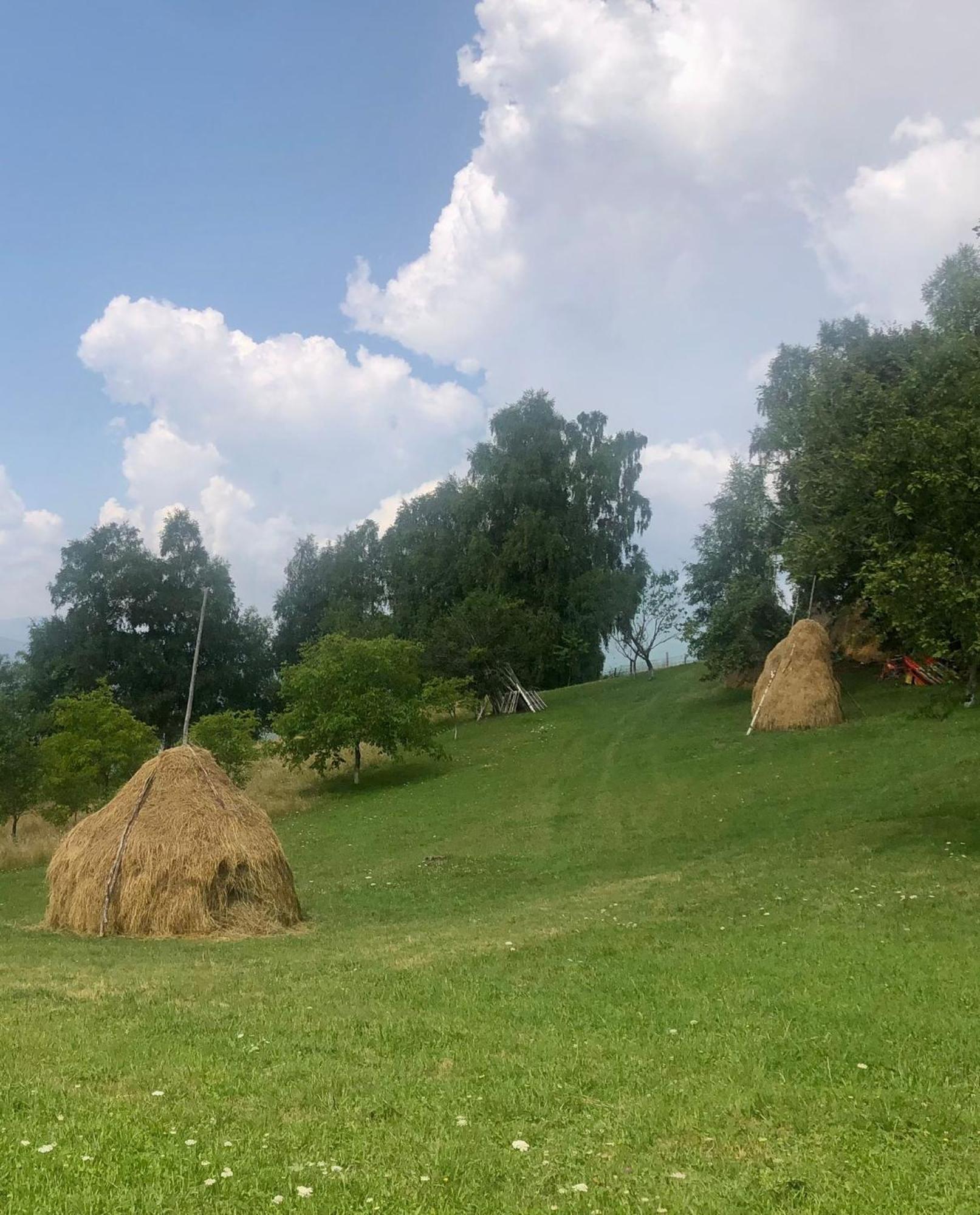 Pensiunea Poiana Viselor Poiana Mărului エクステリア 写真