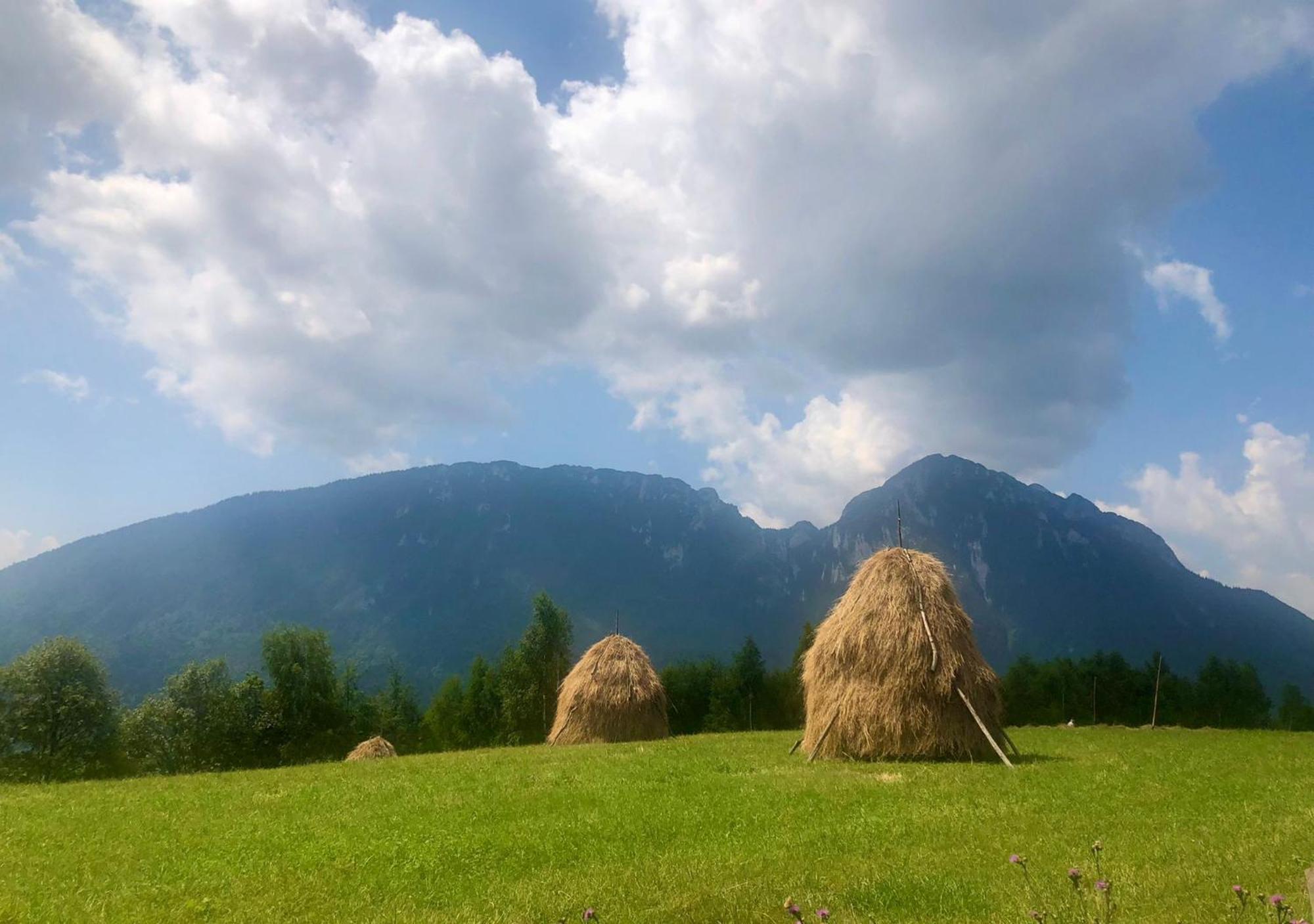 Pensiunea Poiana Viselor Poiana Mărului エクステリア 写真