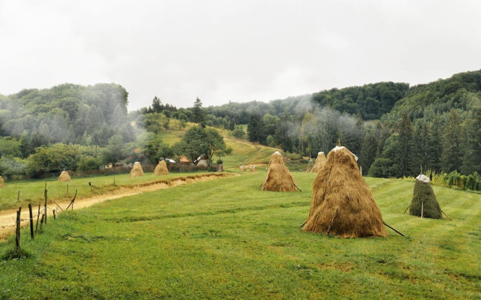 Pensiunea Poiana Viselor Poiana Mărului エクステリア 写真