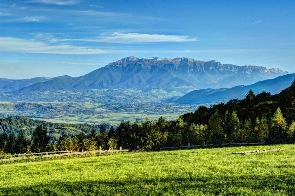 Pensiunea Poiana Viselor Poiana Mărului エクステリア 写真