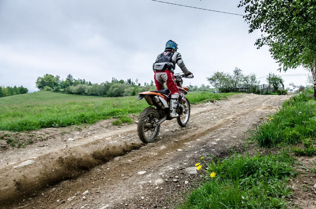 Pensiunea Poiana Viselor Poiana Mărului エクステリア 写真