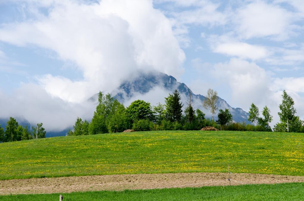 Pensiunea Poiana Viselor Poiana Mărului エクステリア 写真