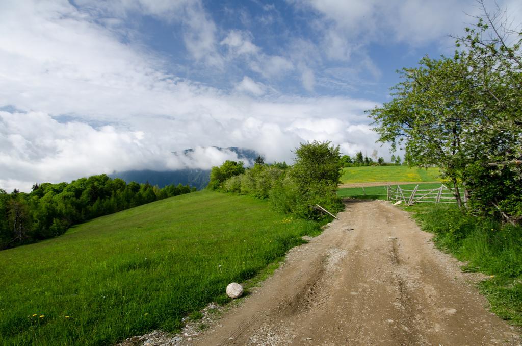 Pensiunea Poiana Viselor Poiana Mărului エクステリア 写真