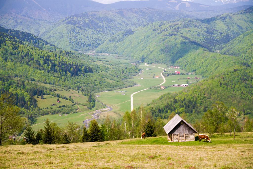 Pensiunea Poiana Viselor Poiana Mărului エクステリア 写真